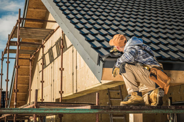 Best Skylight Installation and Repair  in Blackstone, VA